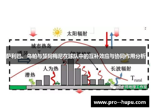 萨利巴、乌帕与楚阿梅尼在球队中的互补效应与协同作用分析 萨利巴、乌帕与楚阿梅尼在球队中的互补效应与协同作用分析