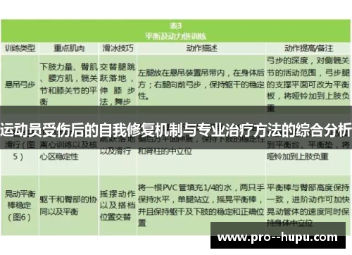 运动员受伤后的自我修复机制与专业治疗方法的综合分析