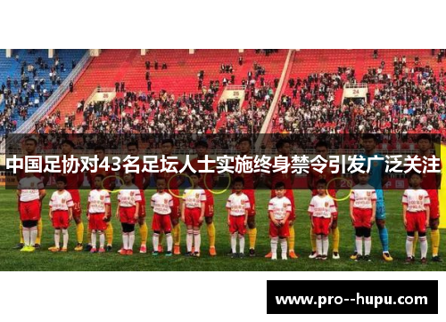 中国足协对43名足坛人士实施终身禁令引发广泛关注 中国足协对43名足坛人士实施终身禁令引发广泛关注