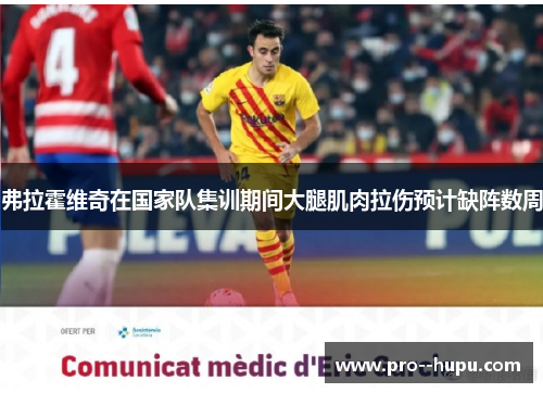 弗拉霍维奇在国家队集训期间大腿肌肉拉伤预计缺阵数周 弗拉霍维奇在国家队集训期间大腿肌肉拉伤预计缺阵数周