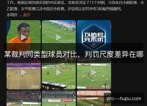 某裁判同类型球员对比，判罚尺度差异在哪